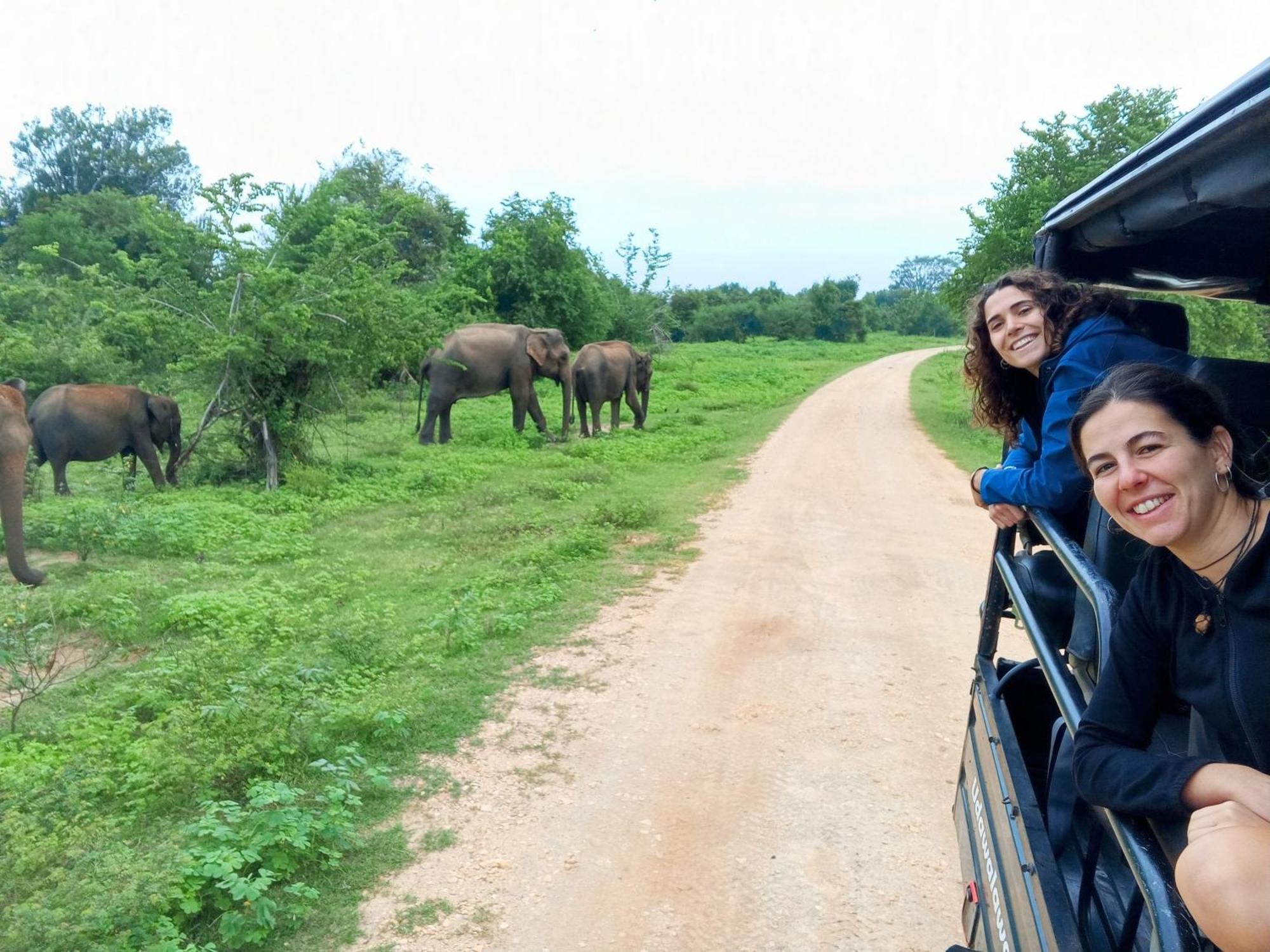 Elite Safari Resort Удавалаве Екстер'єр фото